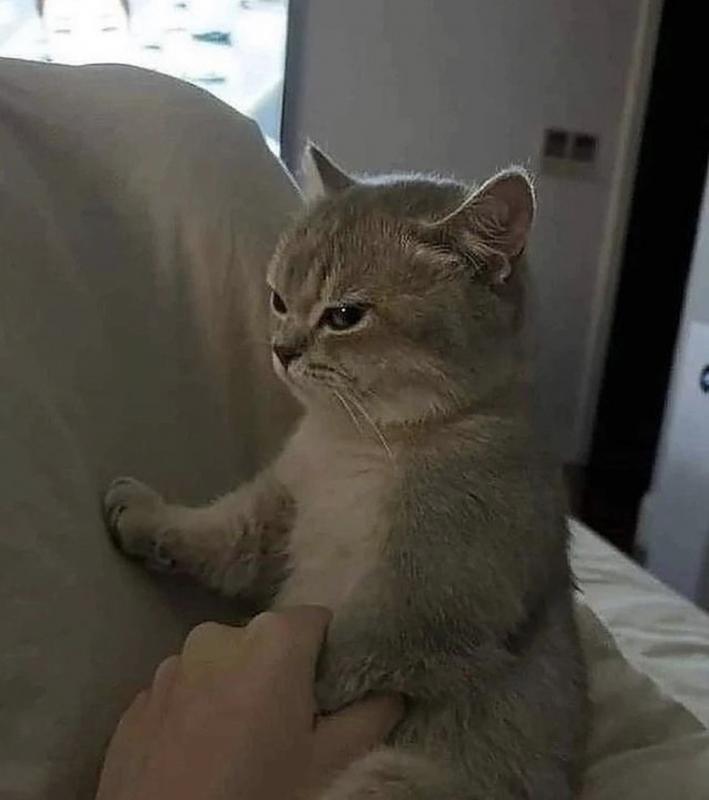 your_profile_picture