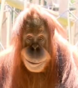 your_profile_picture