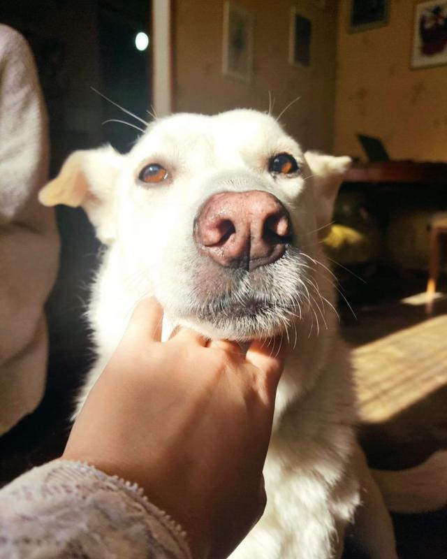 your_profile_picture