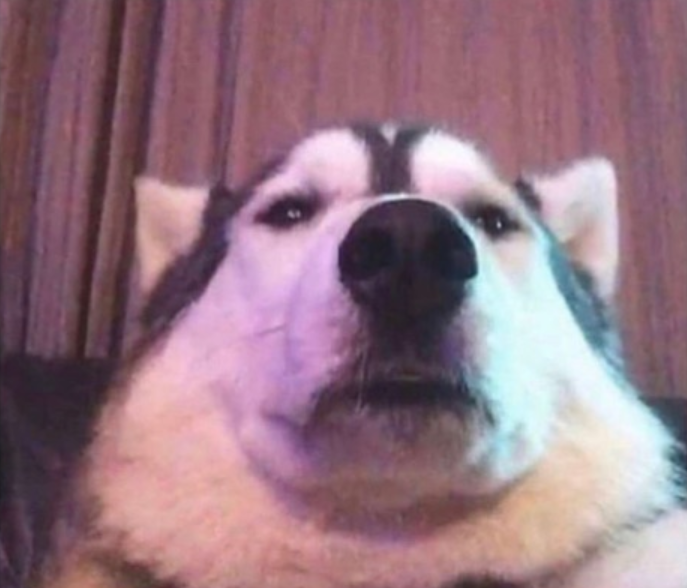 your_profile_picture